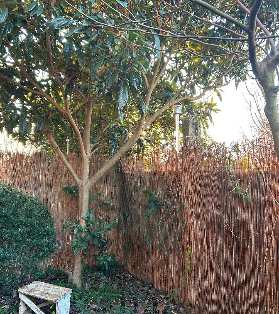 Suite With Terrace And Loft With Garden In Milan Naviglio Pavese 0*,  Ιταλία